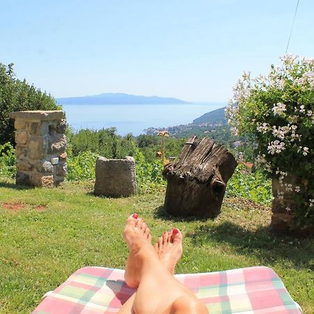 Sea View Apartment With Garden Near Opatija Veprinac Eksteriør billede